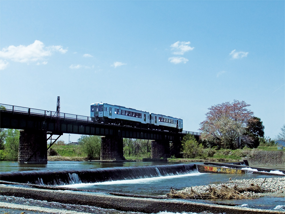 太田橋鉄橋を渡る列車と桜